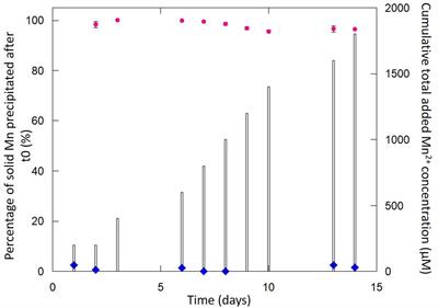 Microbially Induced Mineralization of Layered Mn Oxides Electroactive in Li Batteries